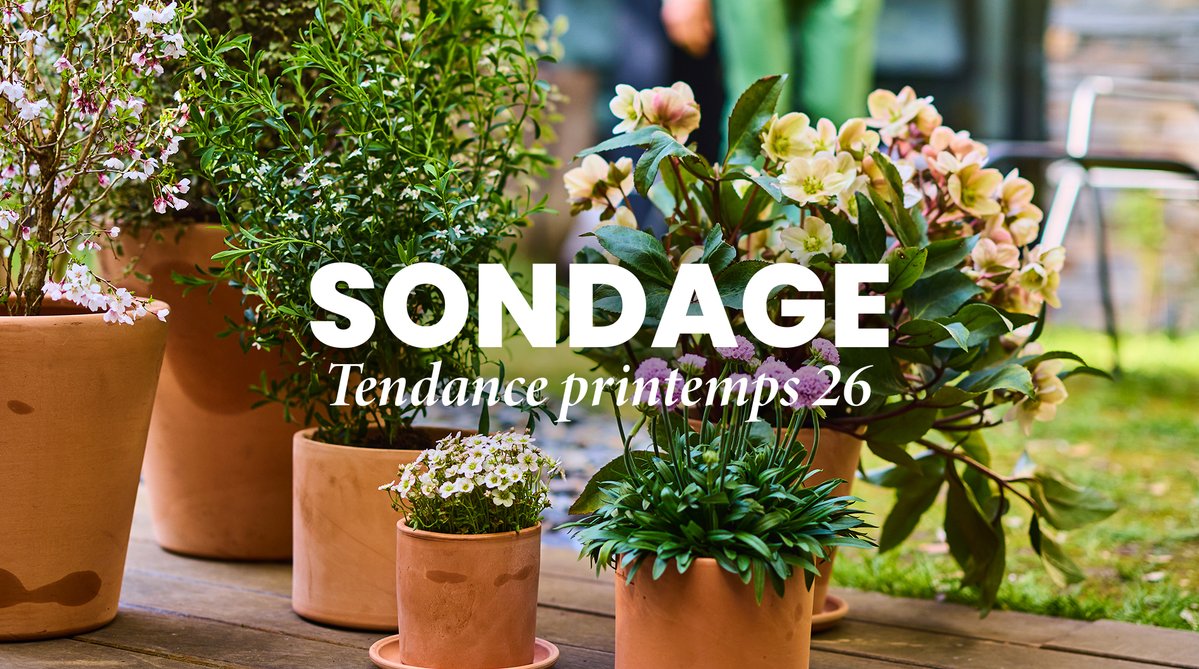 Truffaut tweet media