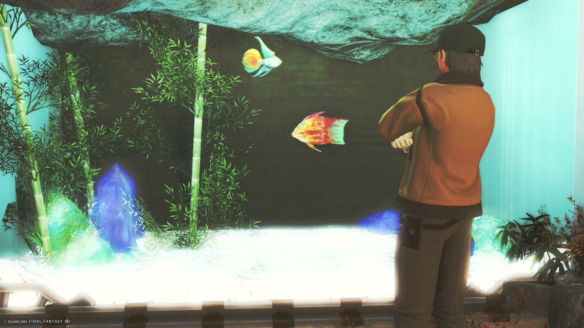 じゃん tweet media