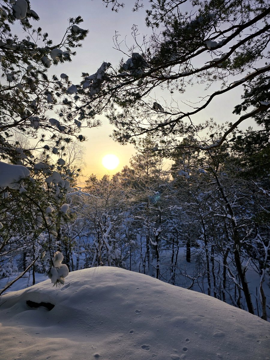 JosieOutdoors tweet media