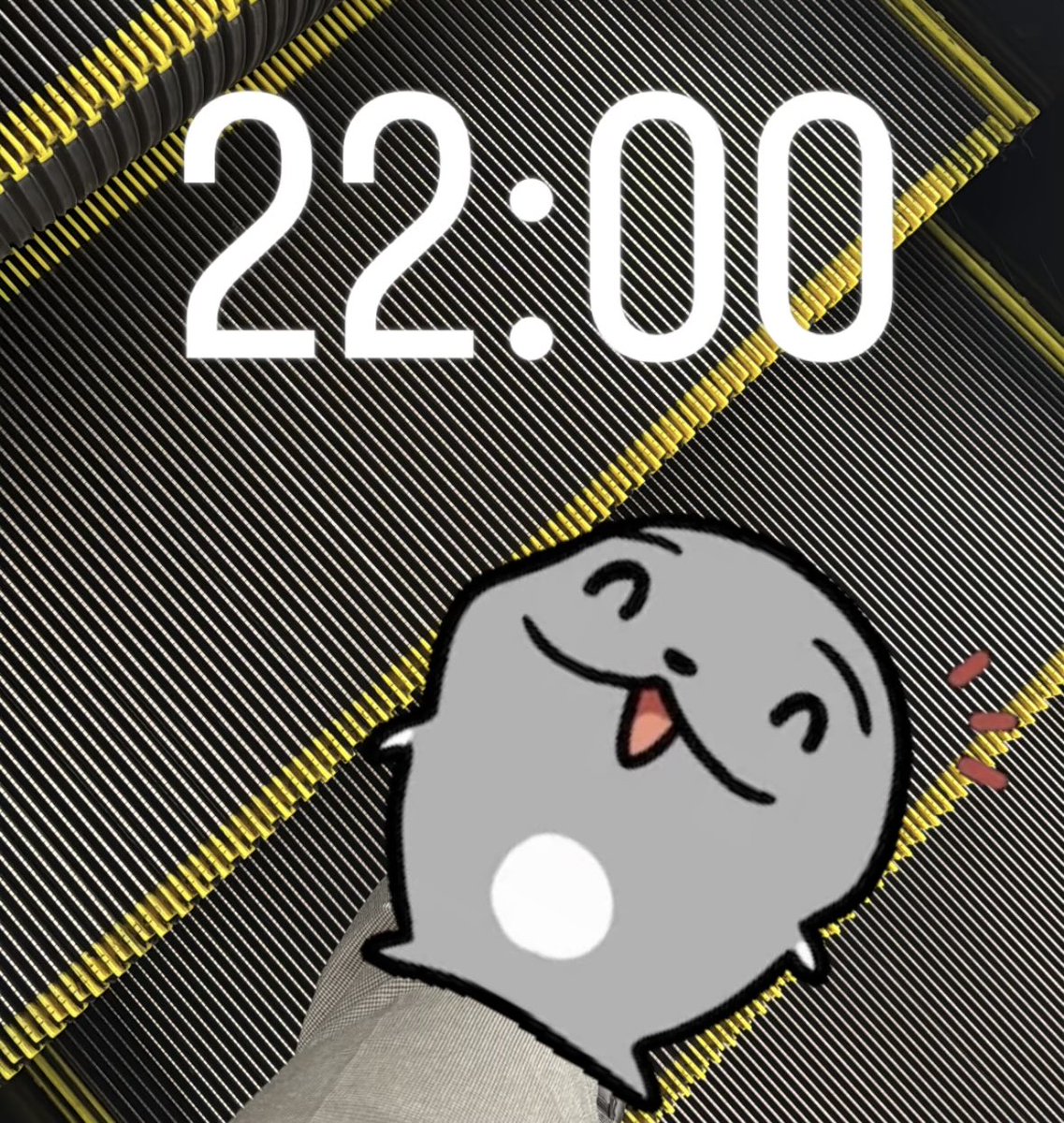 ゴマフアザラシ( :ᘌ ꇤ )Э tweet media