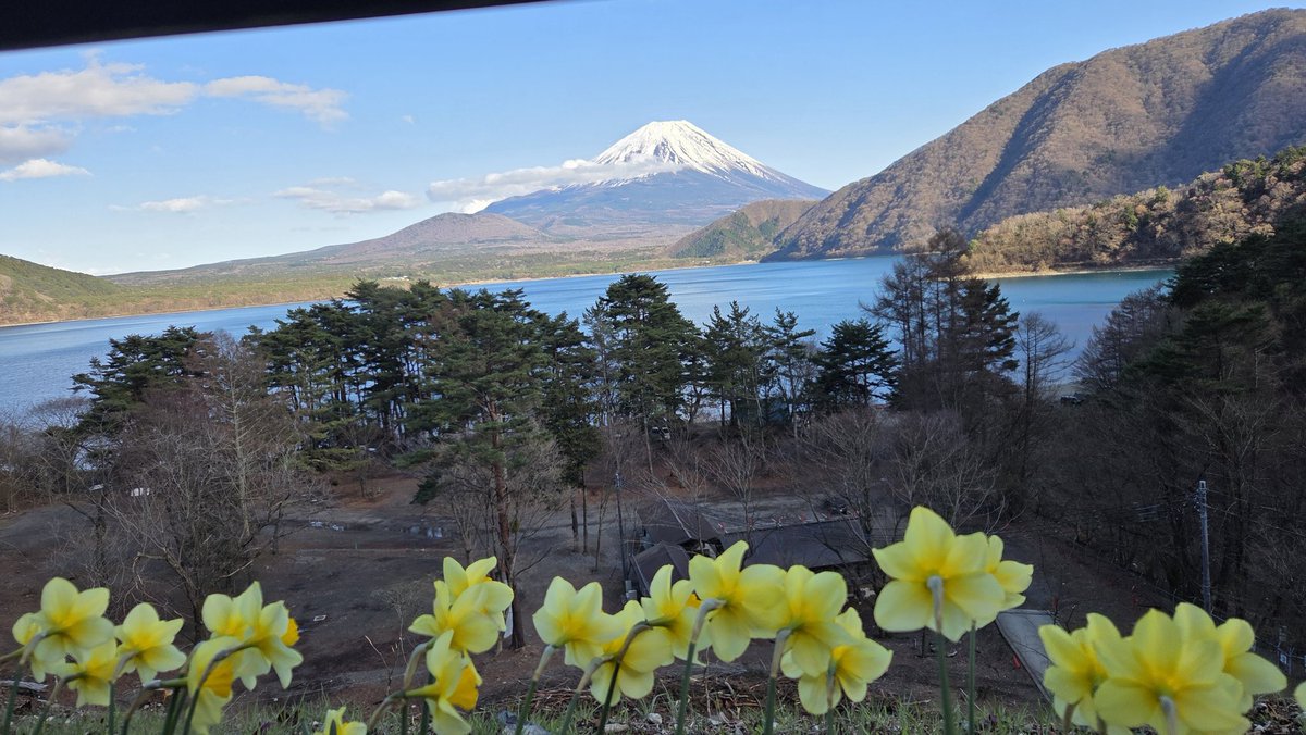 さえぴ～ tweet media