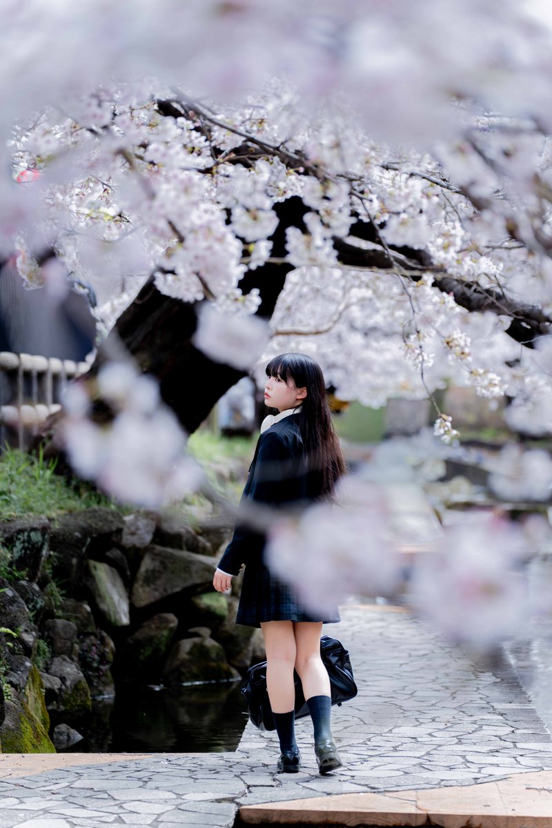 フロン tweet media