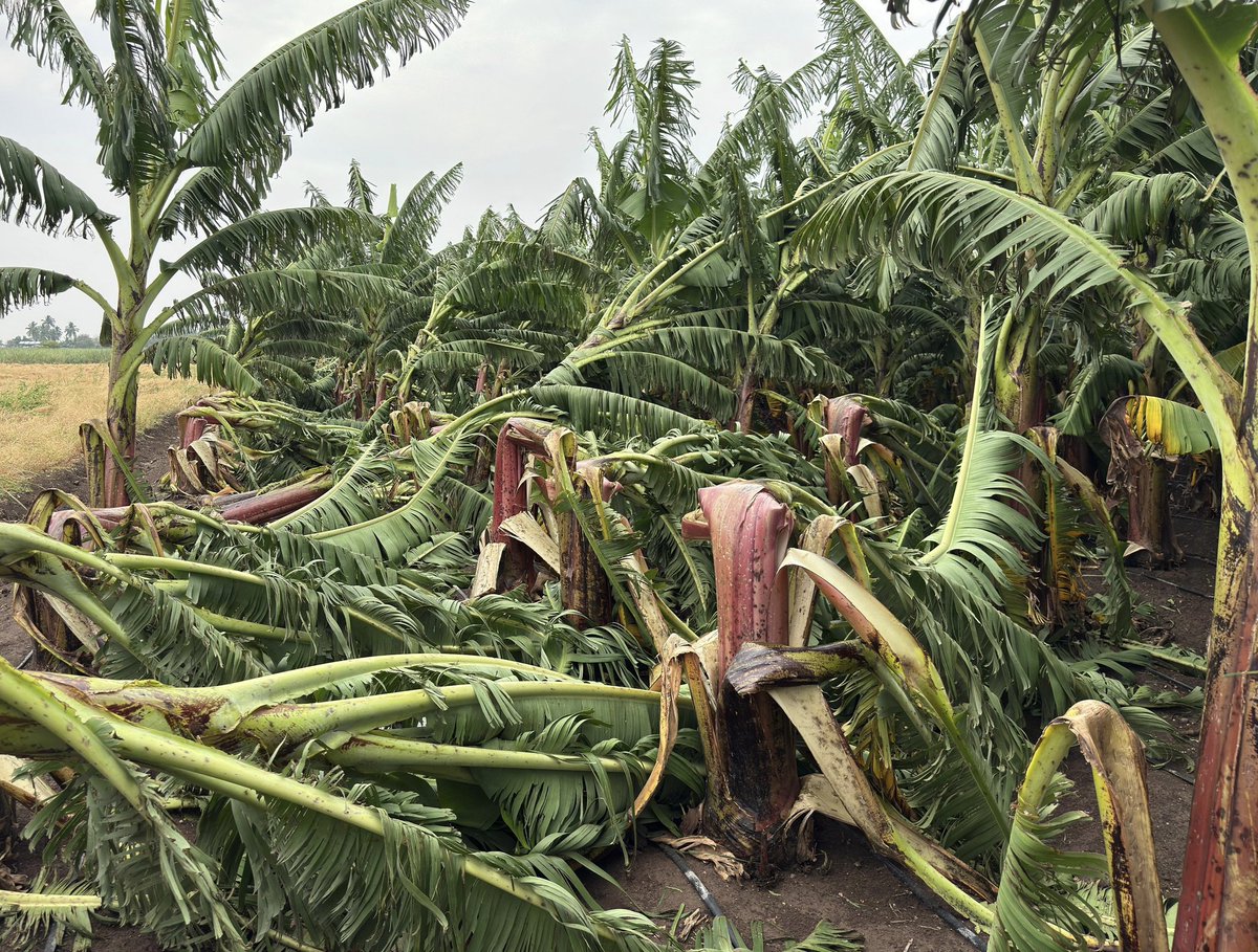 Yugendra Shrinivas Pawar tweet media