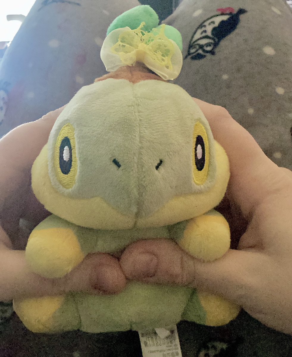 KikiTemi 🌴🏳️‍⚧️🍌Pincurchin Prick🧡 tweet media