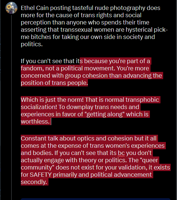 desert bear tweet media