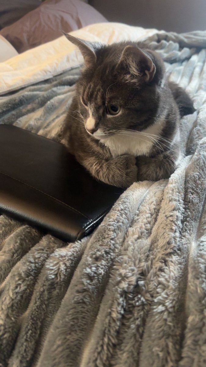 Deanna Corby tweet media