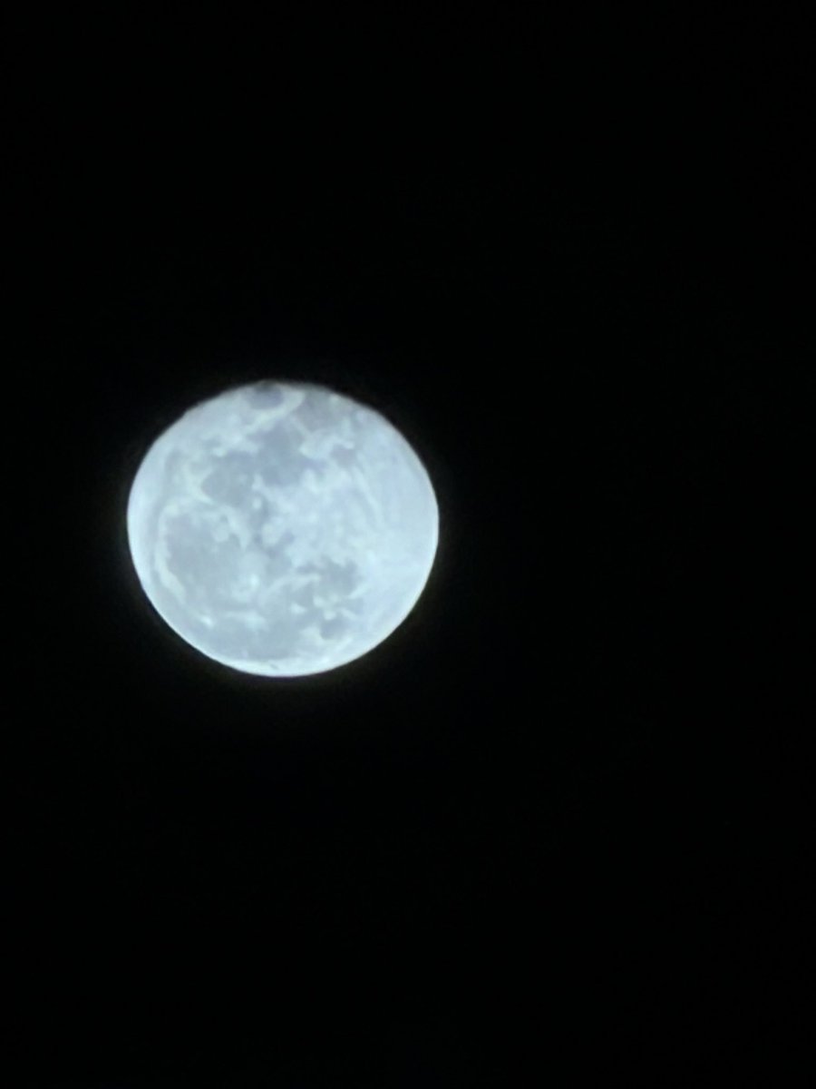 木守宮　アラン tweet media