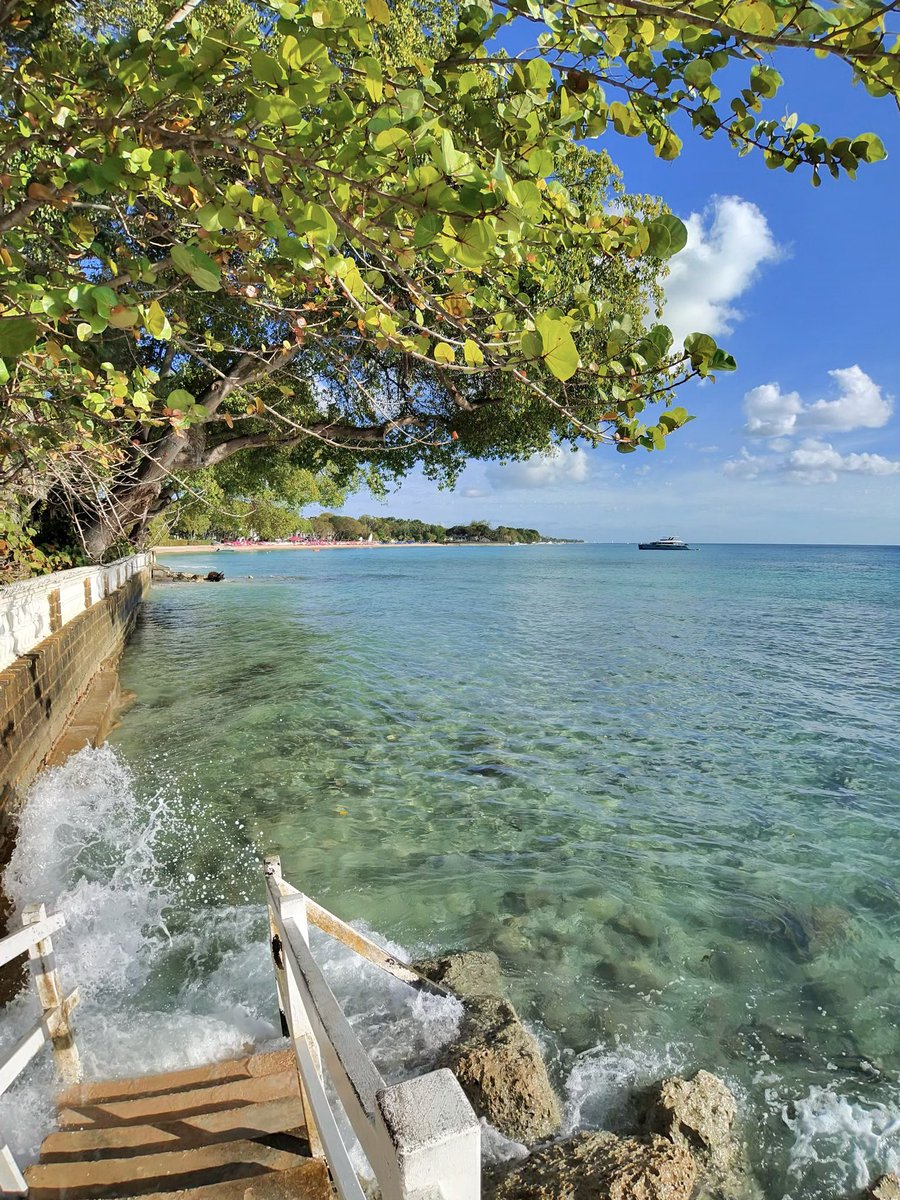 Ten_Bagger tweet media