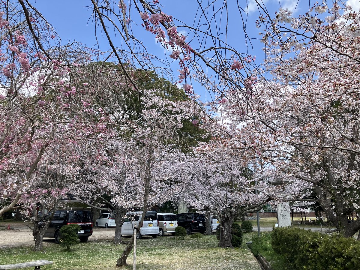 🦀菜門アタロウザ🦑 tweet media