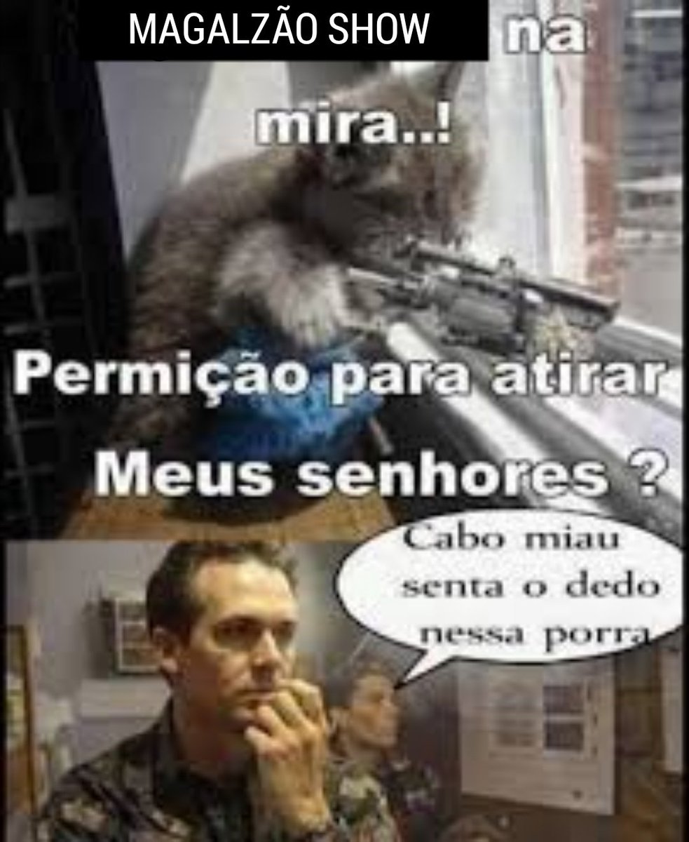 Pérolas do Broxada Sinistra tweet media