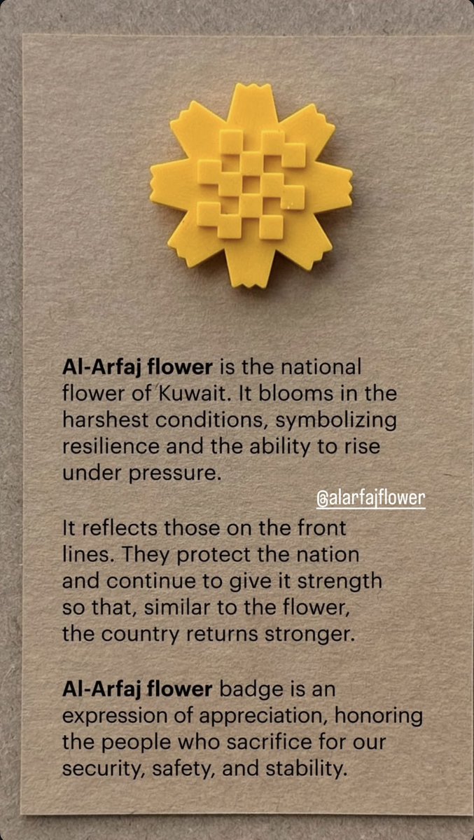 nadia shaban tweet media