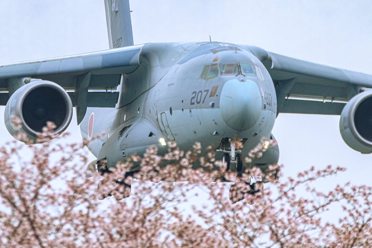 suu451JSDF's tweet photo. 久々に #入間基地
桜が奇麗でしたね～（´ ▽｀） https://t.co/fn4CzQHJHf