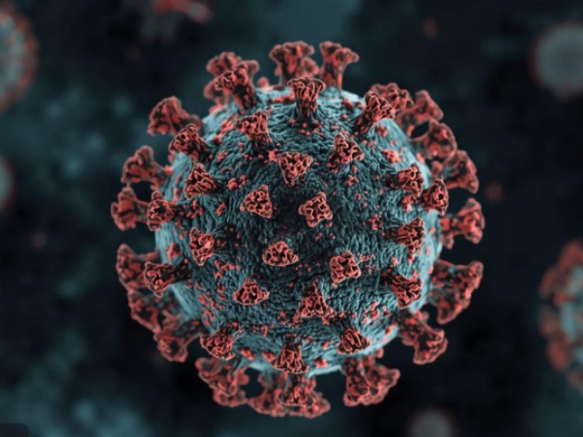 Erkan Trükten 🇹🇷 tweet media