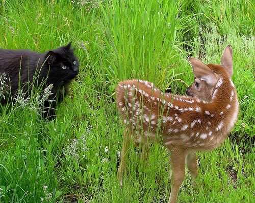 ☆𝒂𝒅𝒂𝒓𝒂☆ tweet media