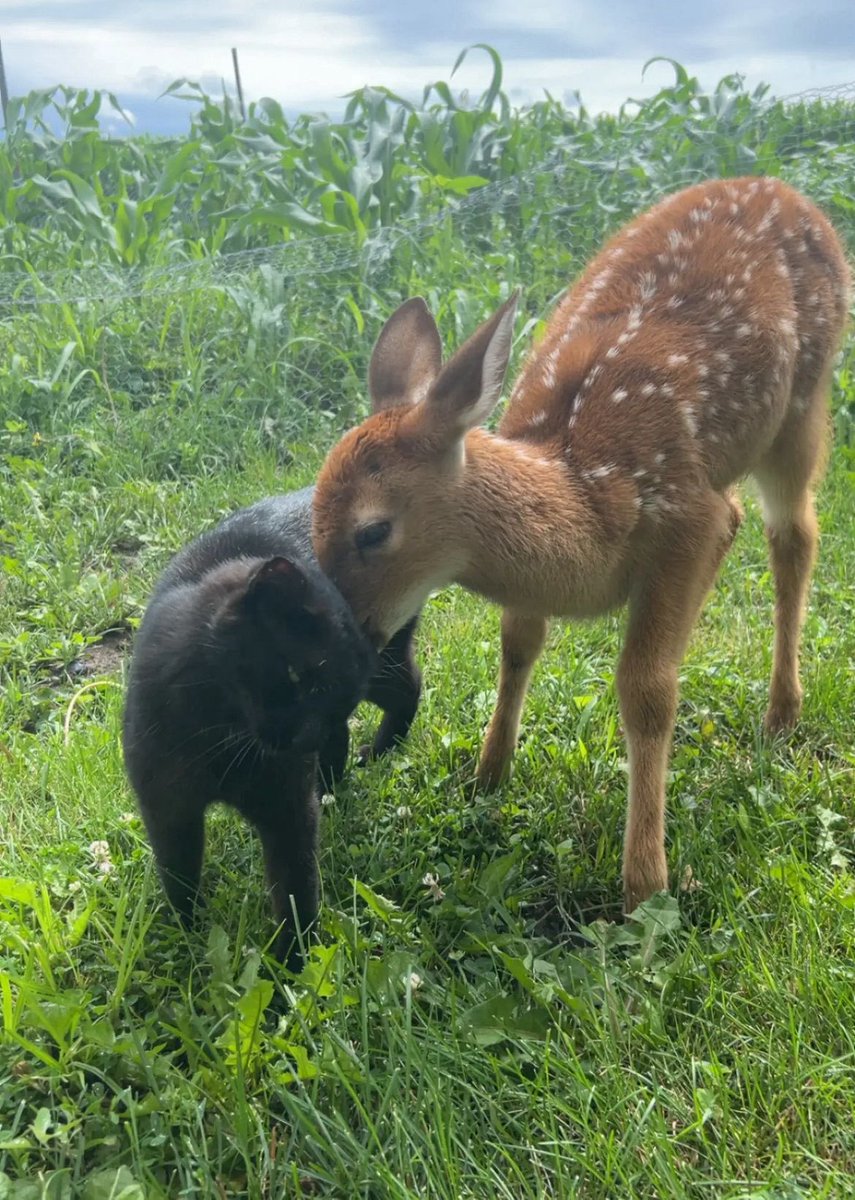 ☆𝒂𝒅𝒂𝒓𝒂☆ tweet media