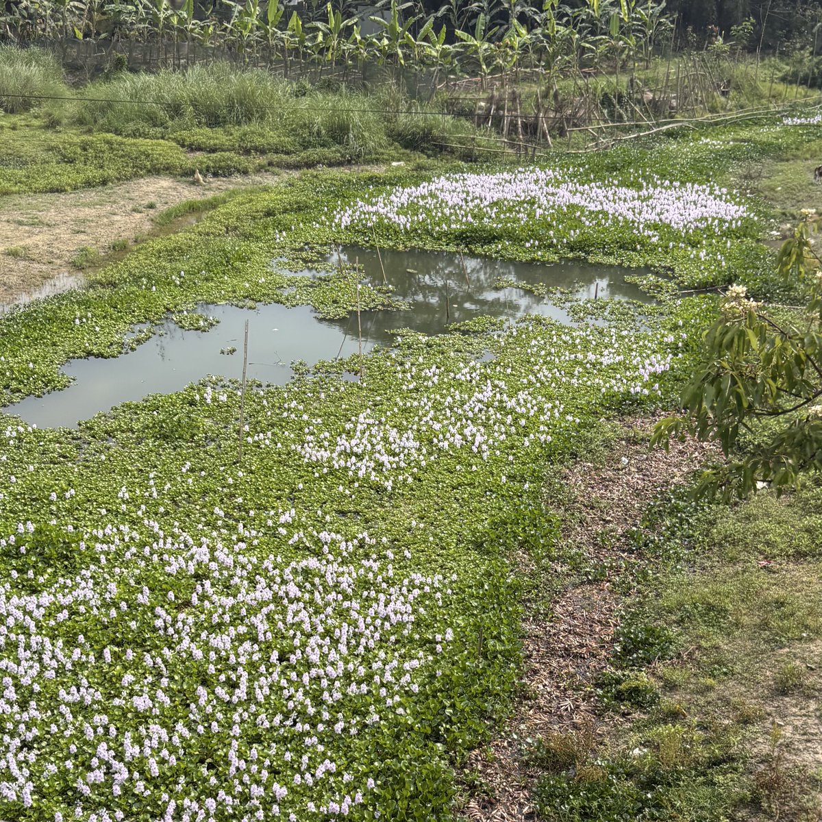 Ria ✨🩺 tweet media