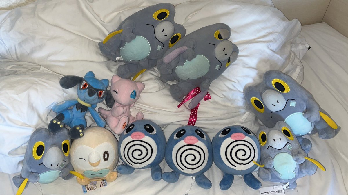 セビにっき tweet media