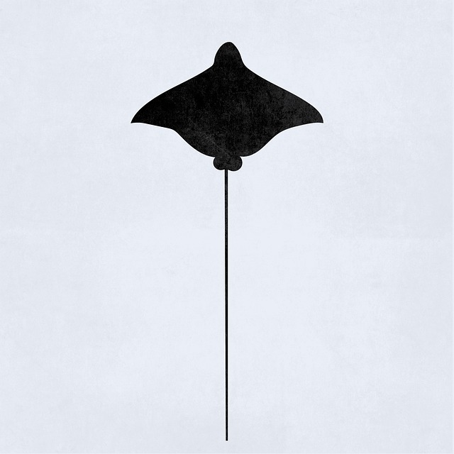 Anne Smith tweet media