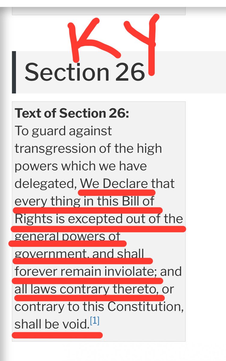 Riley Flack ⚖️ tweet media