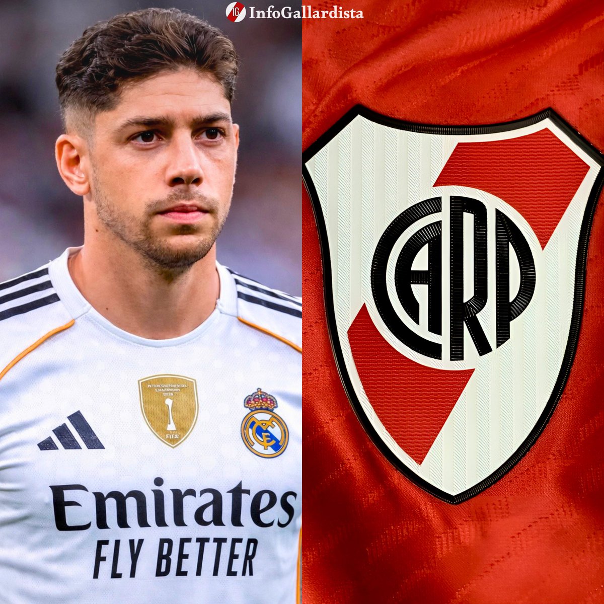 Info Gallardista tweet media