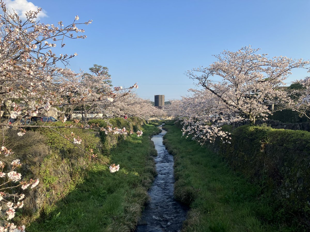 🦀菜門アタロウザ🦑 tweet media