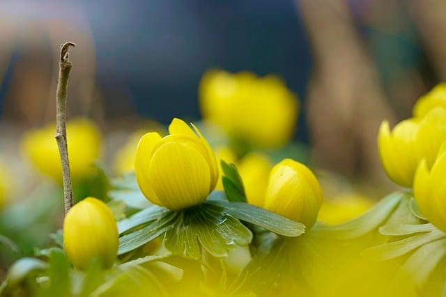 Scott Smith tweet media