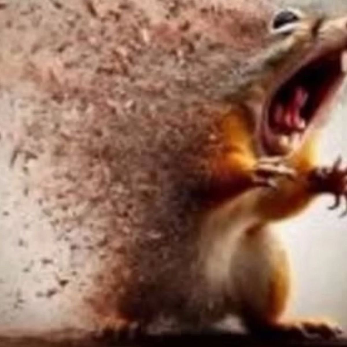 𝐃𝐉𝐞𝐯𝐢𝐢𝐥 ♡ ⍟ tweet media