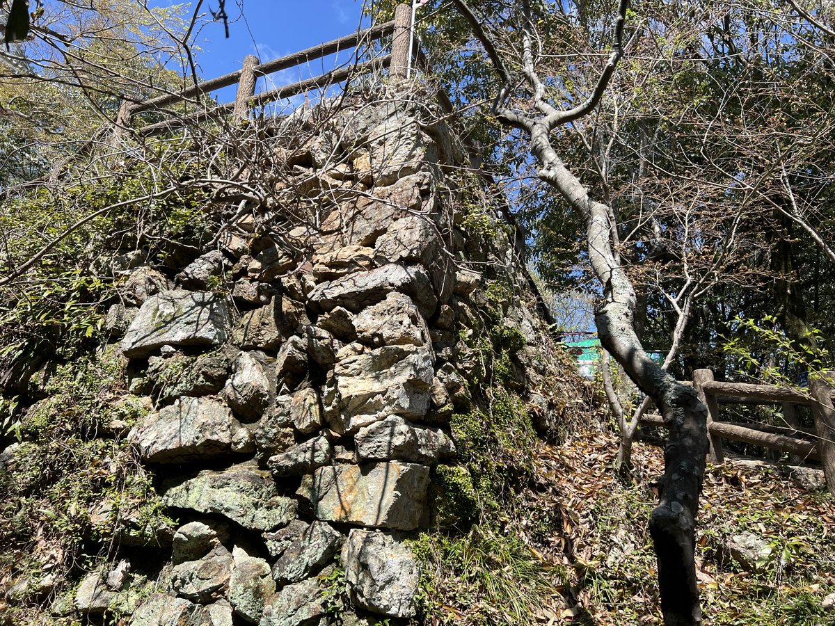 しもじま tweet media