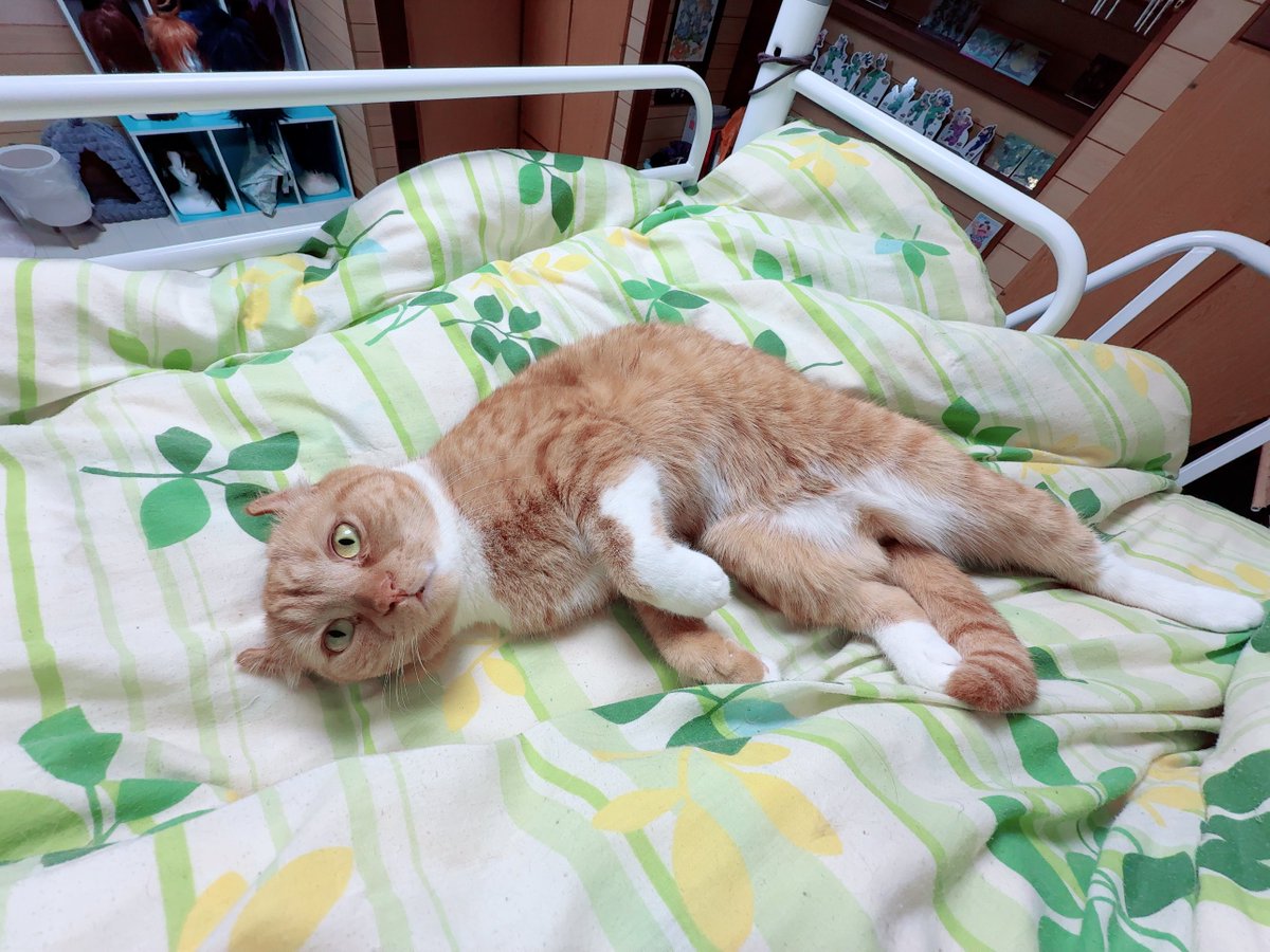 ஐパセリンஐ tweet media