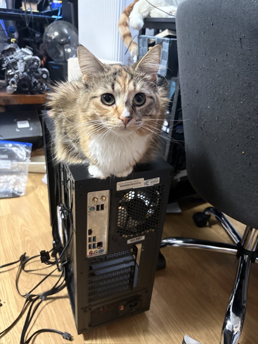 Randy afteru🦋 tweet media