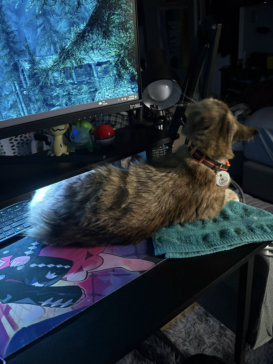 Randy afteru🦋 tweet media