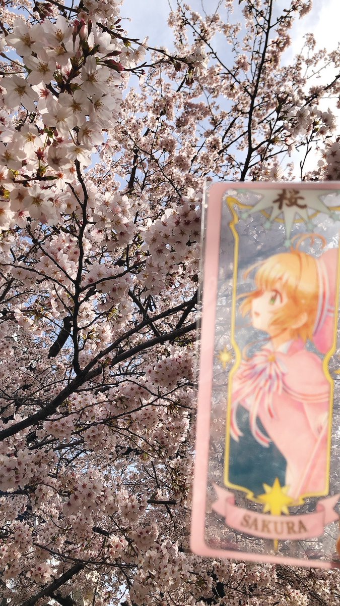 シンさんGSMB tweet media