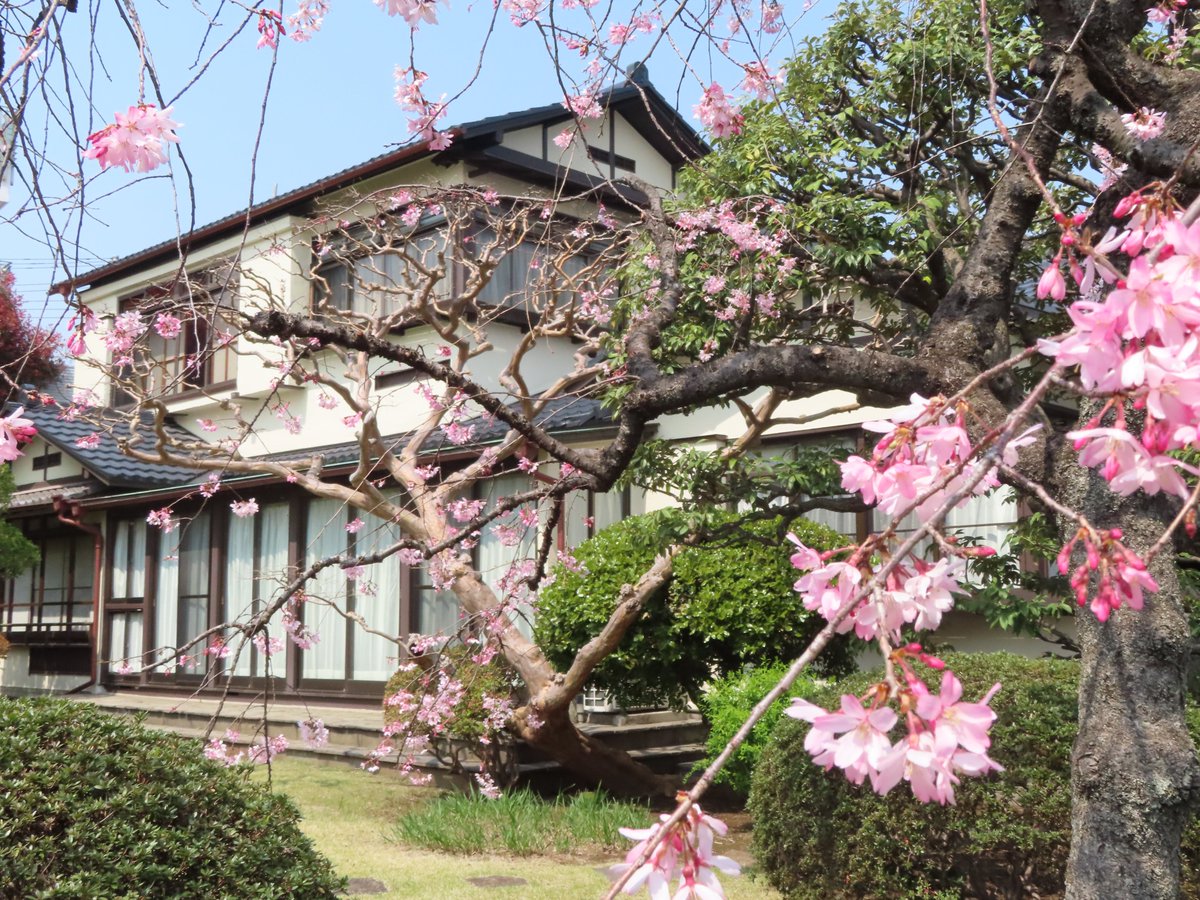(公財)大田区文化振興協会 tweet media