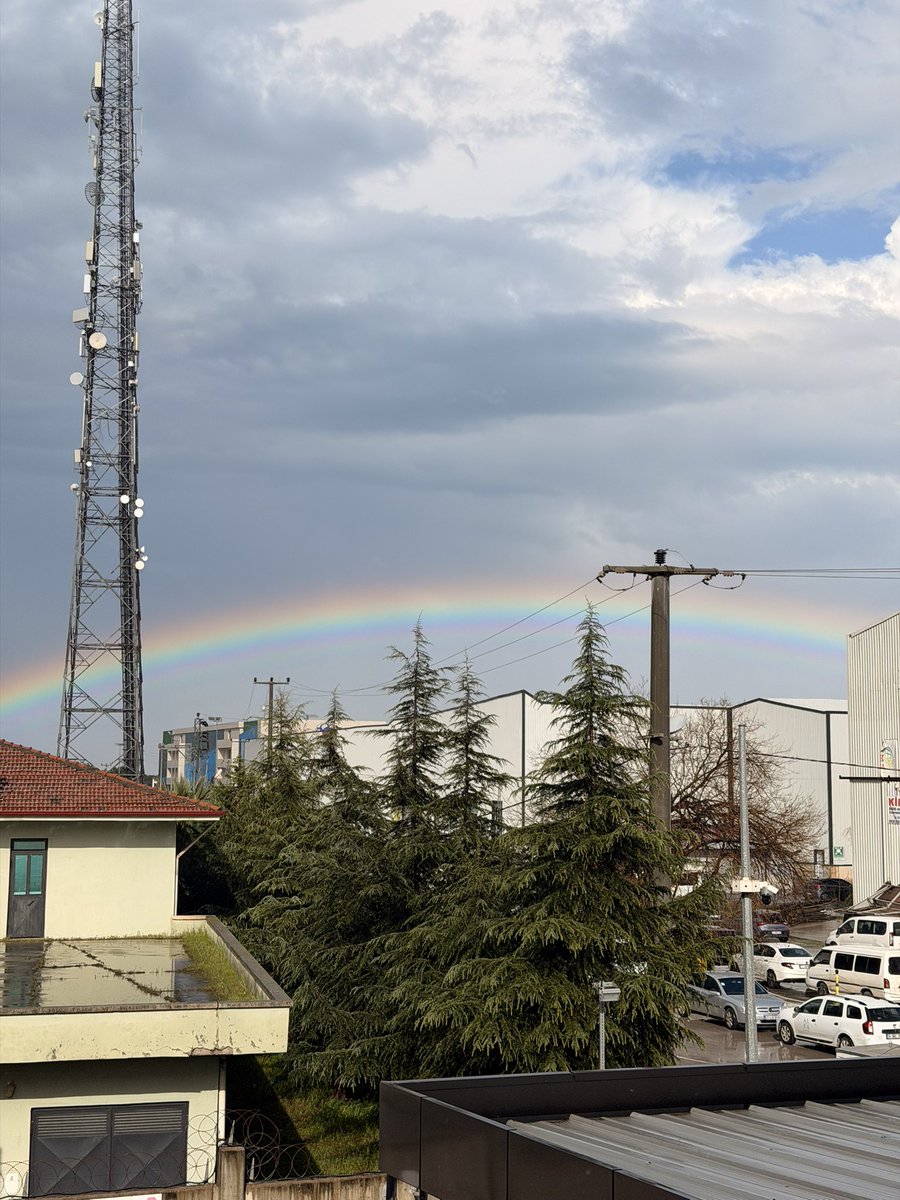 tuzlufıstık tweet media