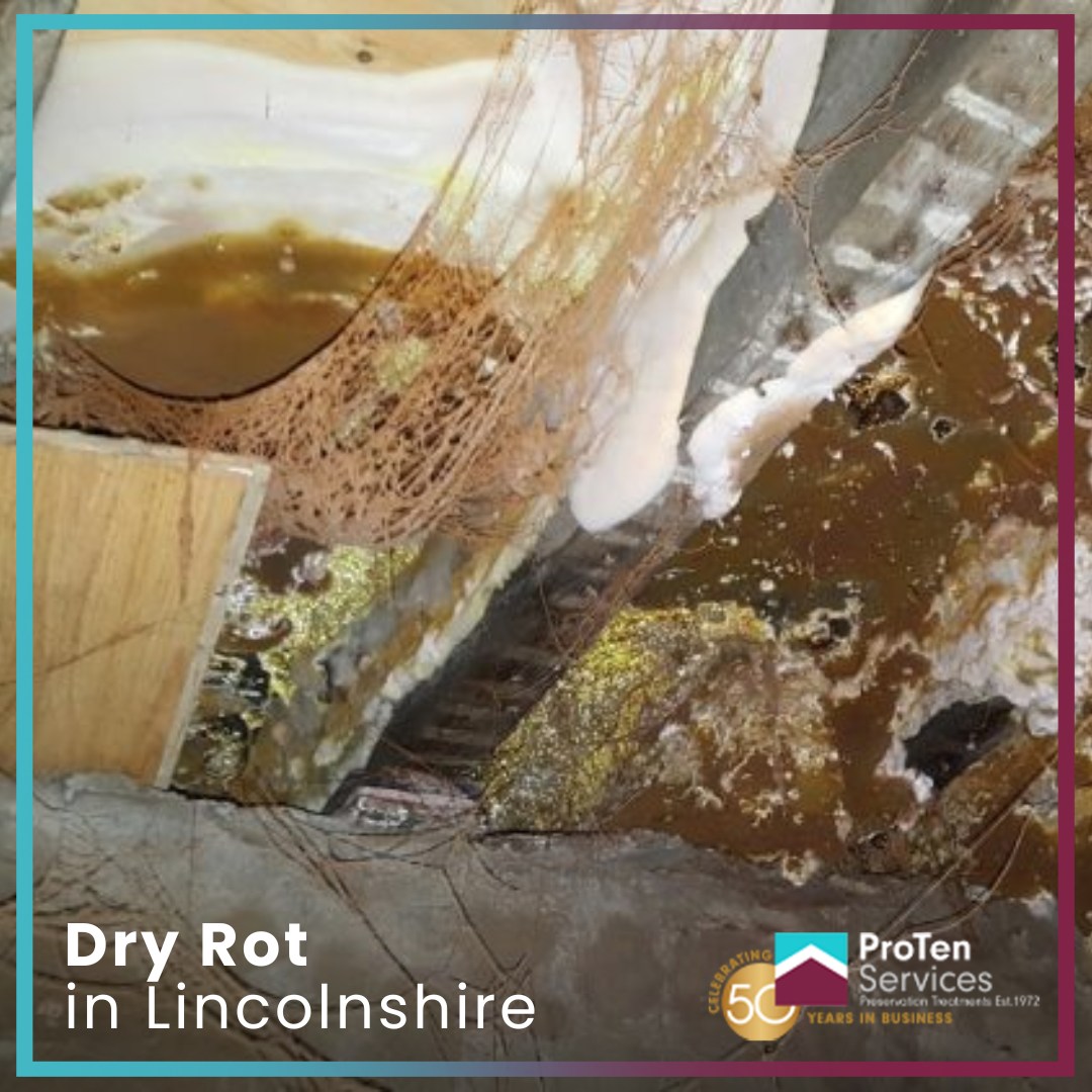 ProTen Services tweet media