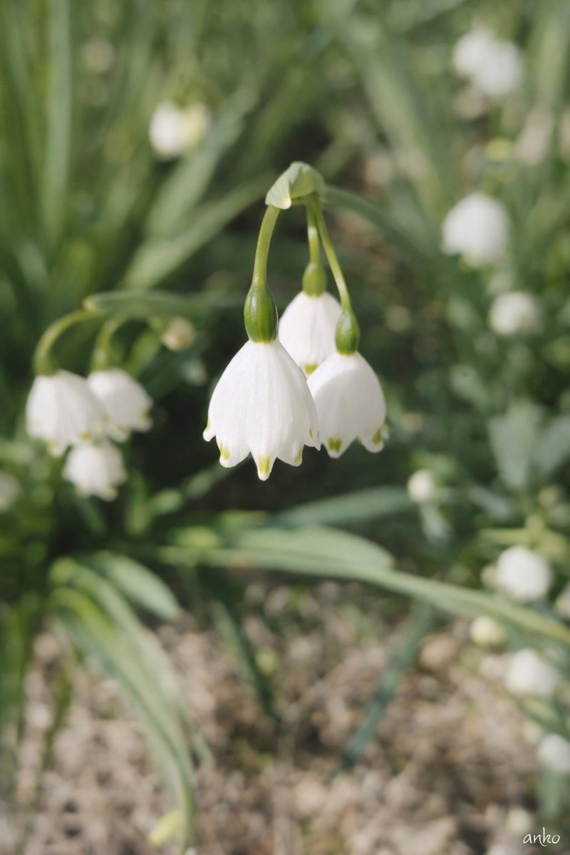 自分を整えようとするより

自分を知っていくほうが

自然に変わっていくのかもしれない

#自分との付き合い方⑦