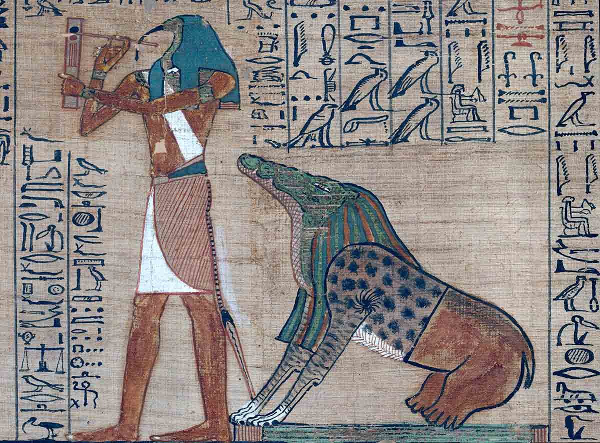 Ildiko Velency tweet media