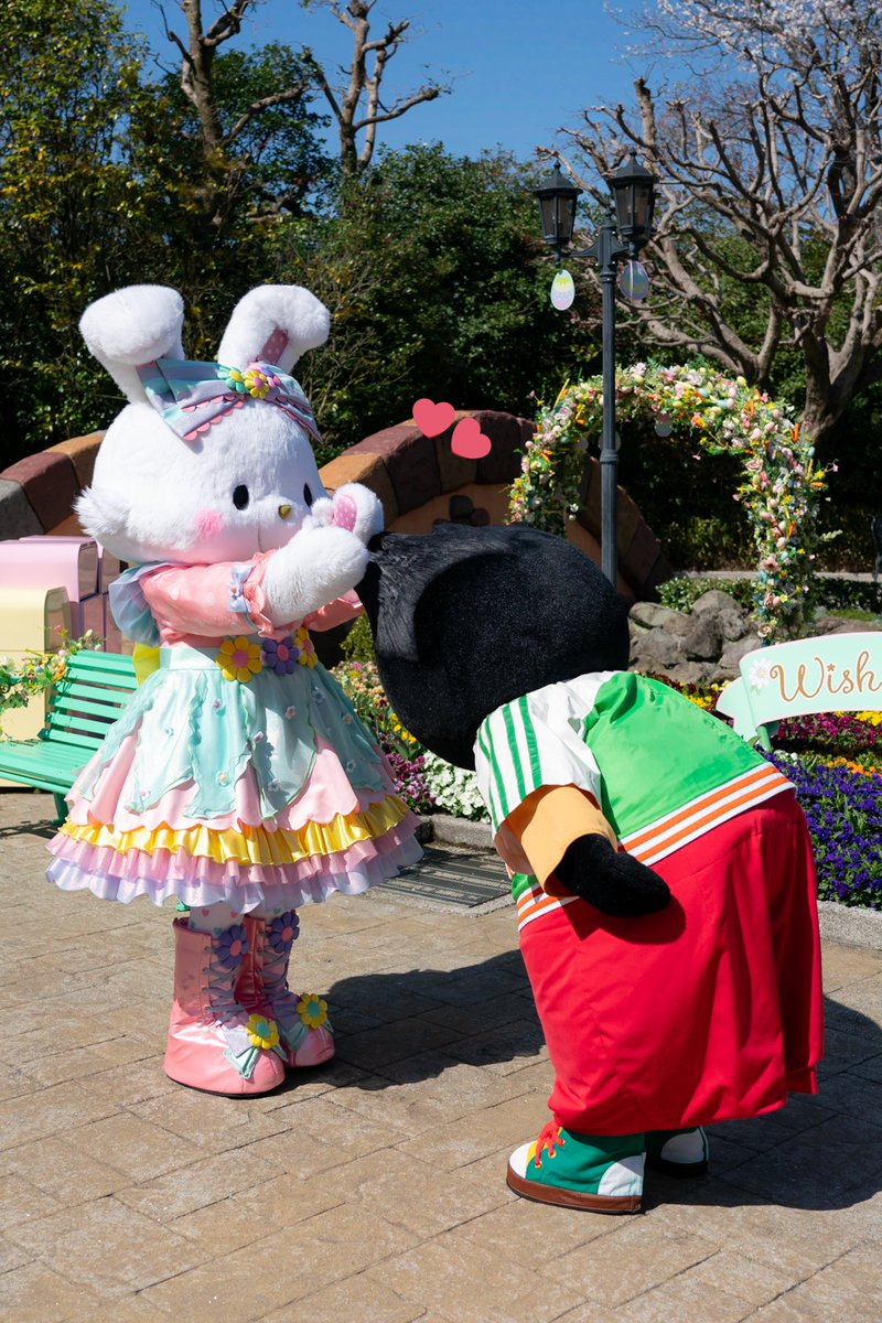 かるは🐰 tweet media