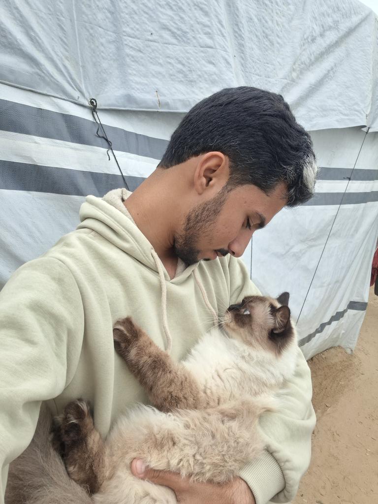 Mustafa𓂆 tweet media