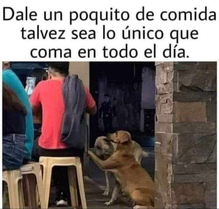 Guadalupe Ramirez tweet media