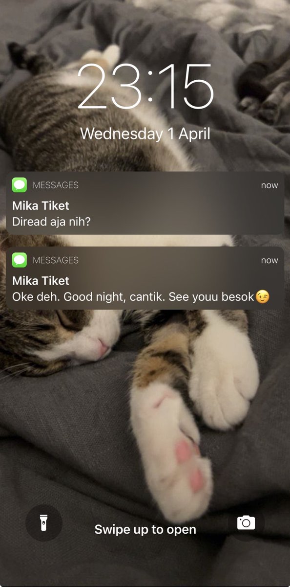 meaniearch's tweet photo. https://t.co/KQ9ZdyV6xL