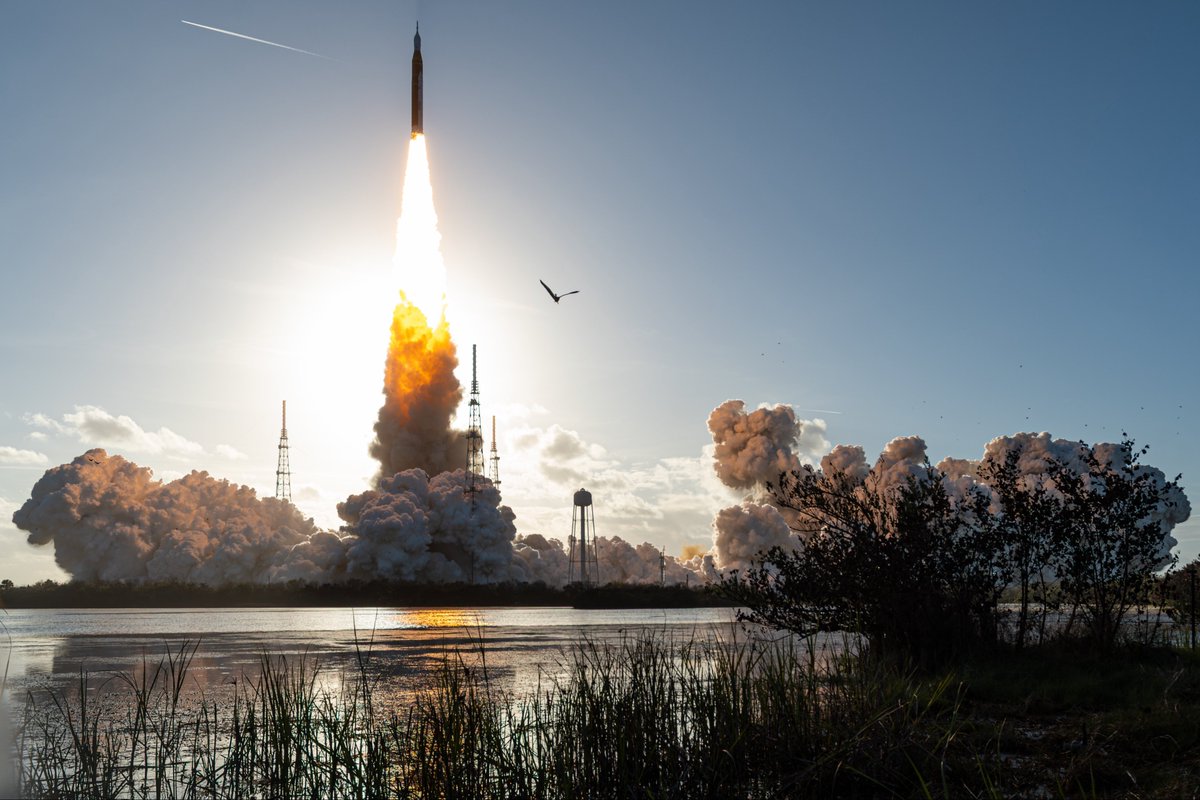 John Kraus tweet media