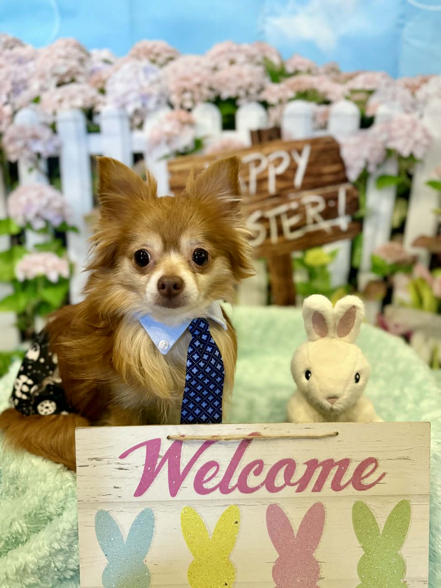 Mix 102.7 WCPZ tweet media