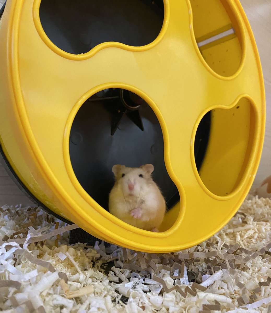 감자밭 tweet media