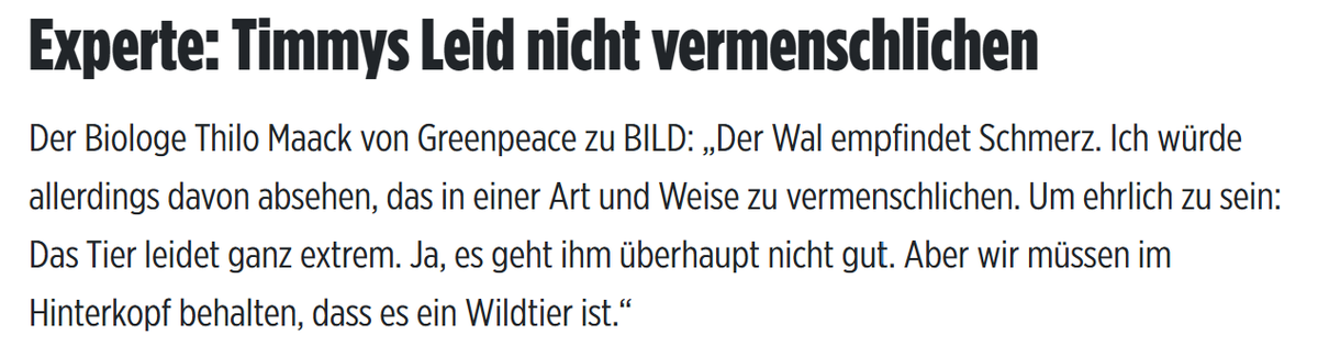Linda Grünberg tweet media