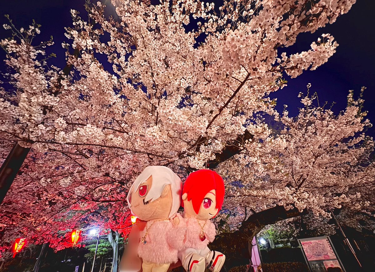 そらはる2号🤍❤️🌸🫂😭👏 tweet media