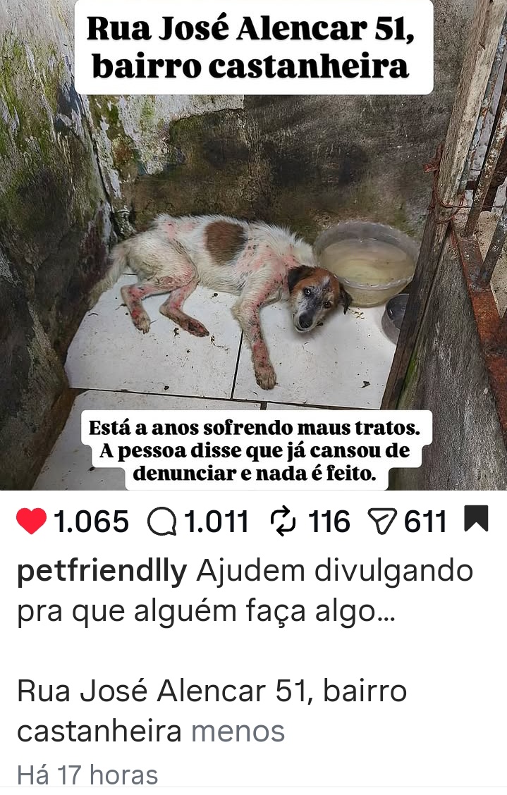 lola 🇮🇷 tweet media