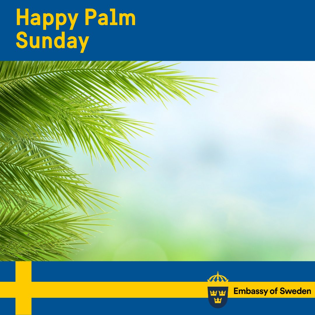 Sweden in Jordan tweet media
