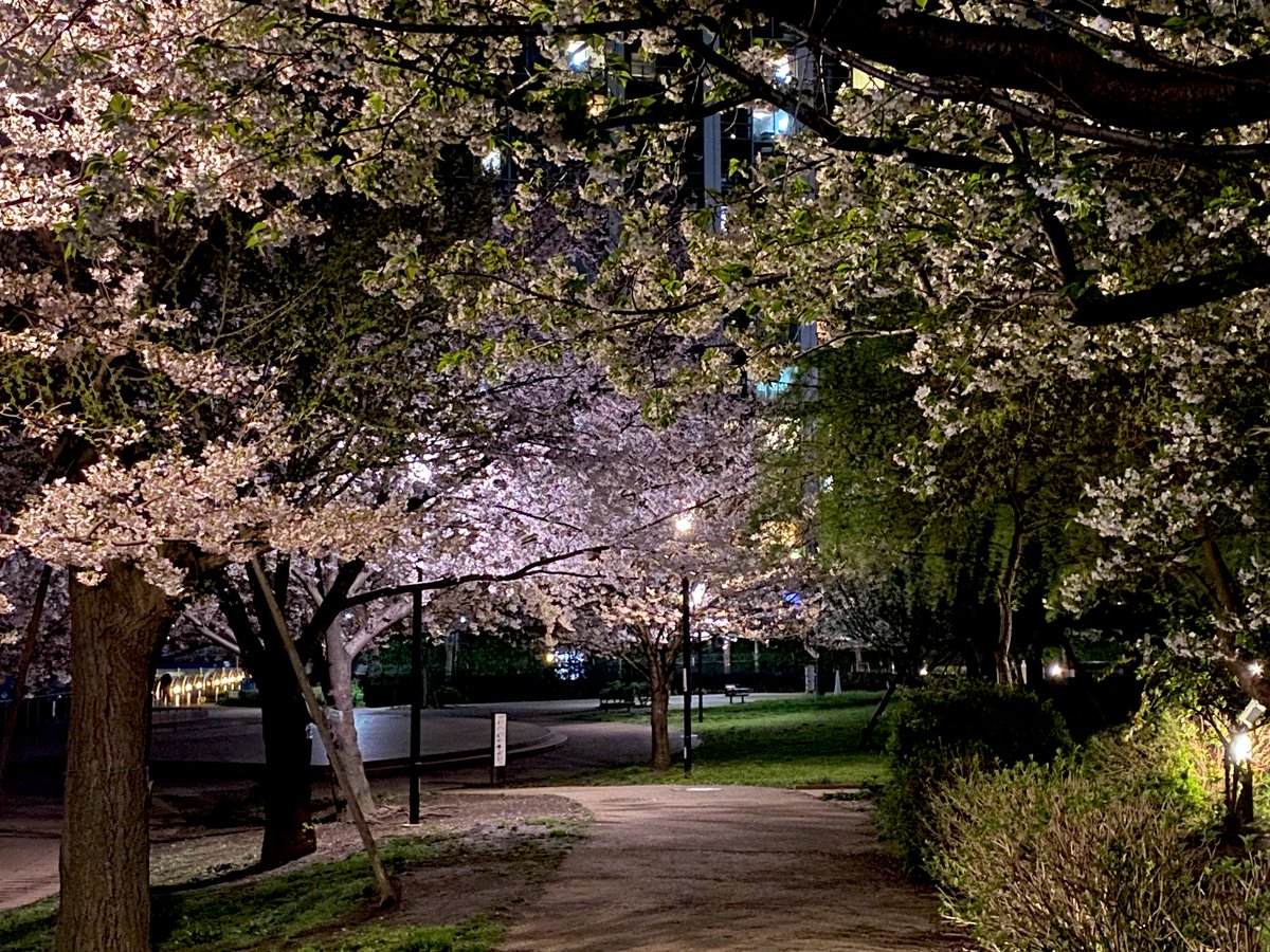 jiro@Tetsusonic tweet media