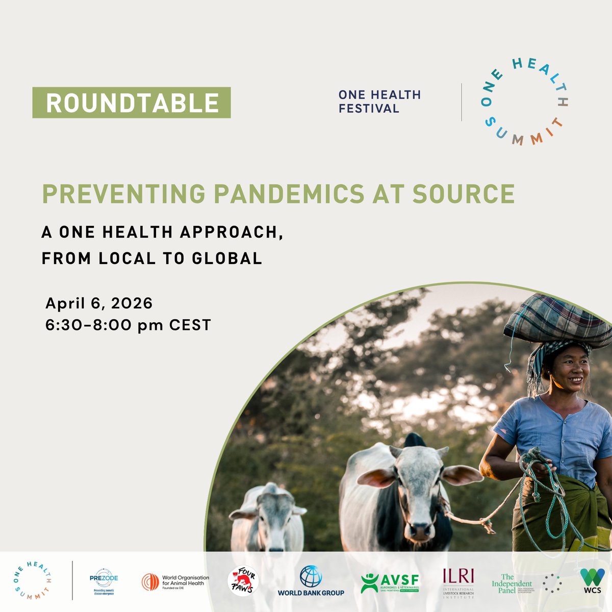 FOUR PAWS International tweet media